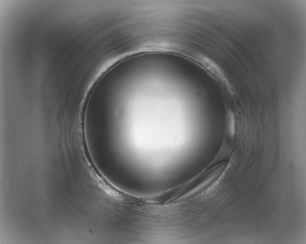 X0000064771192200602101241