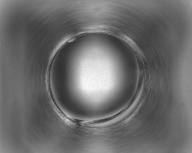 X0000064771196200602101241
