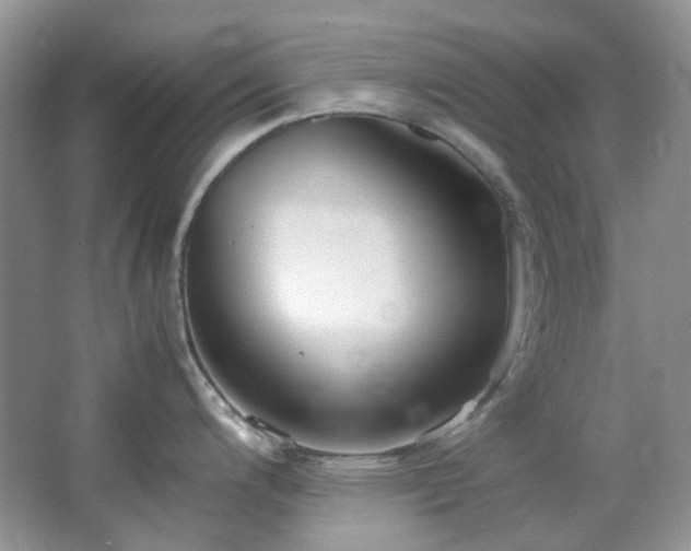 X0000064771200200602101241