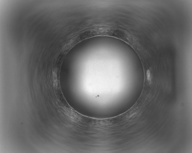 X0000064771203200602101240