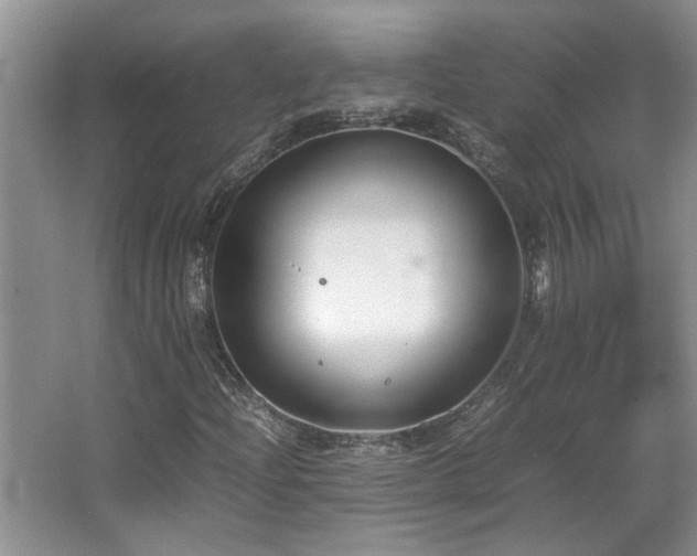 X0000064771204200602101240