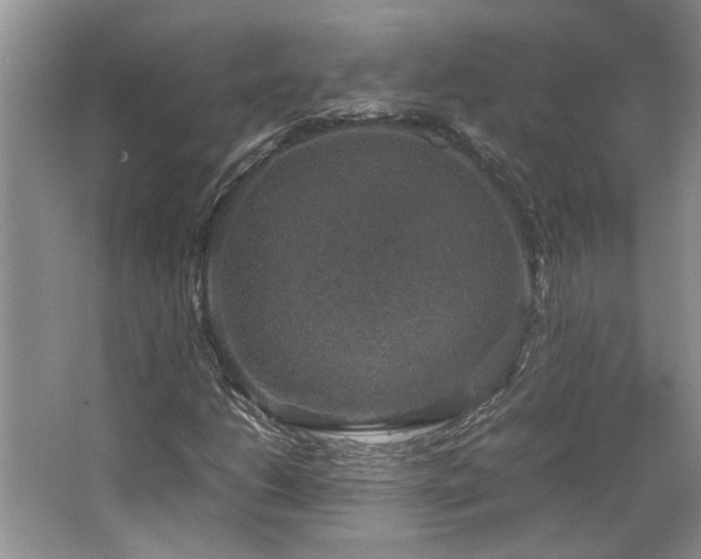 X0000064771206200602101240