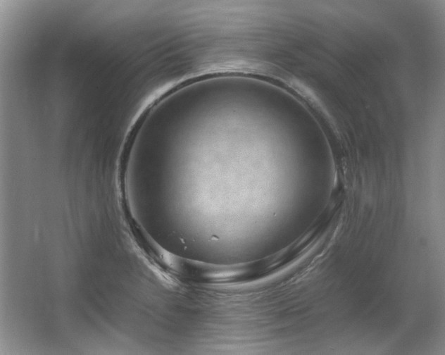 X0000064771230200602101240