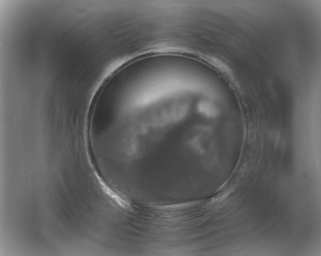 X0000064771231200602101240