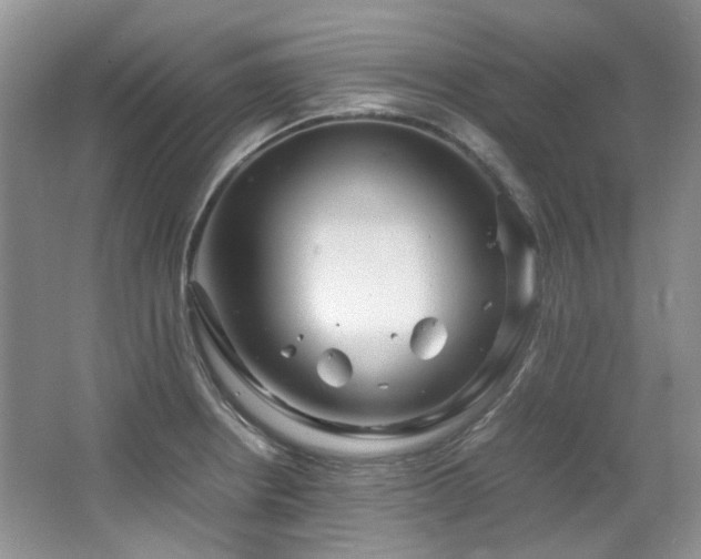 X0000064771234200602101241