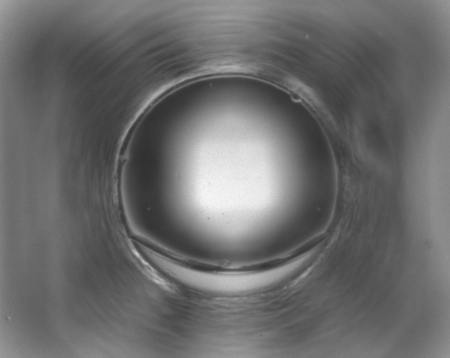 X0000064771236200602101241