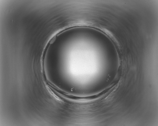 X0000064771238200602101241