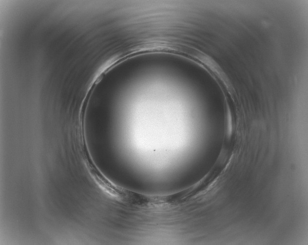 X0000064771242200602101241