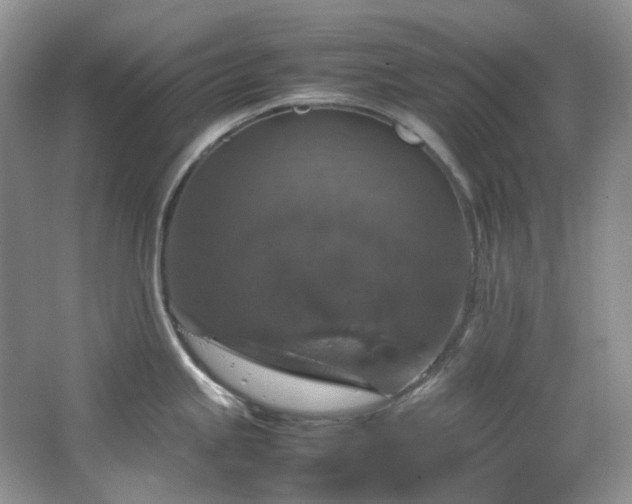 X0000064771245200602101241