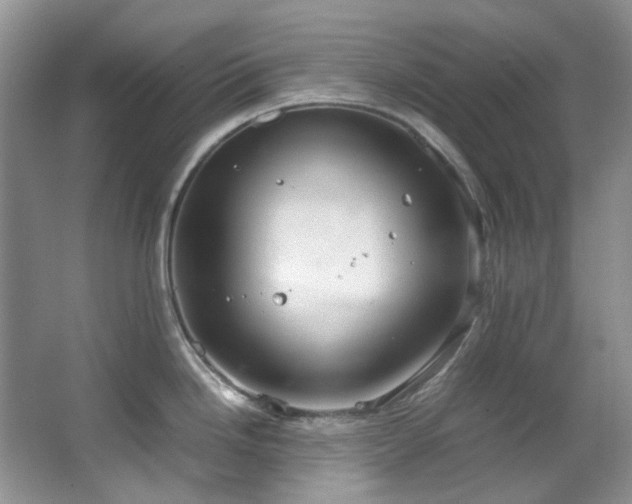 X0000064771246200602101241