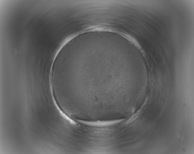 X0000064771247200602101241