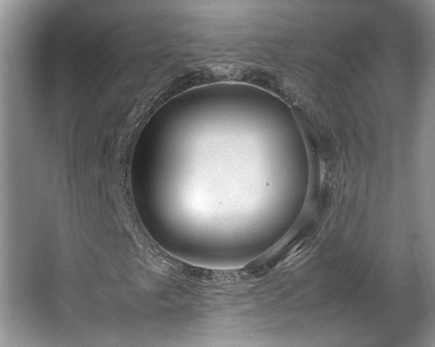 X0000064771249200602101240