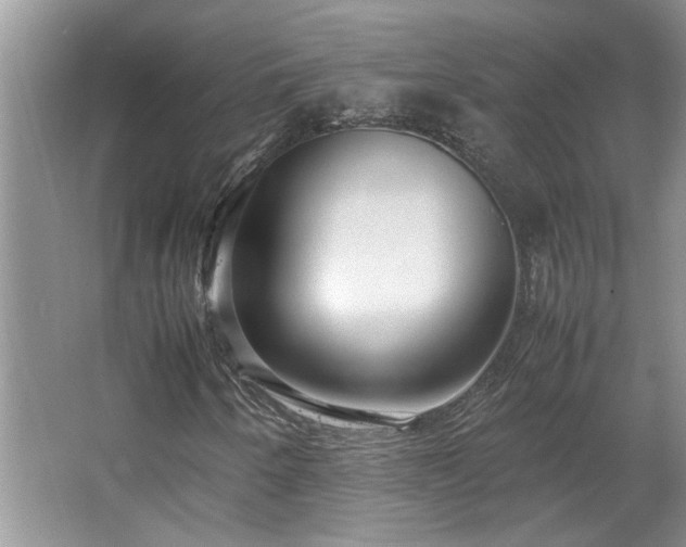 X0000064771250200602101240