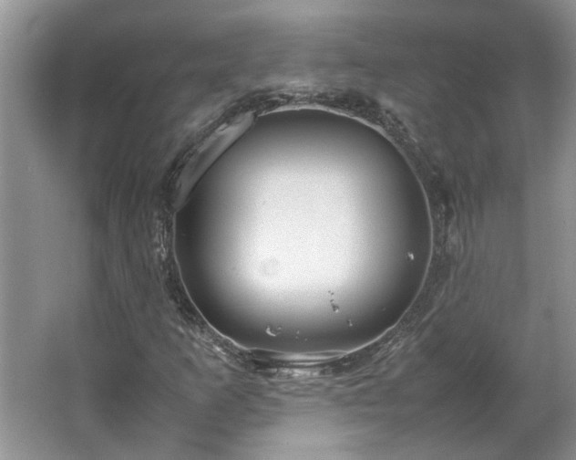 X0000064771253200602101240
