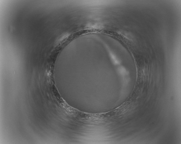 X0000064771254200602101240