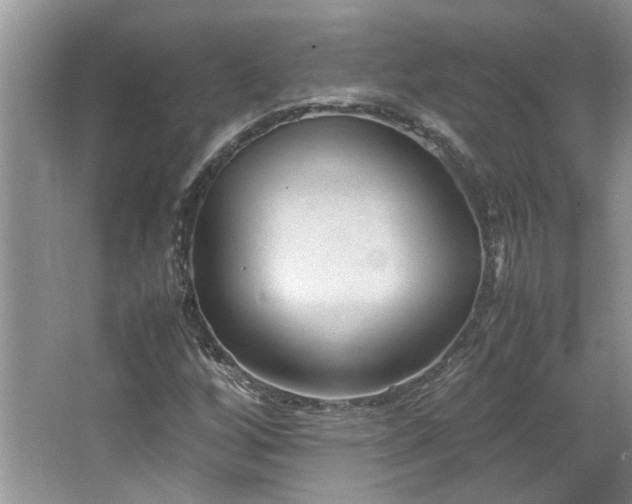 X0000064771256200602101240