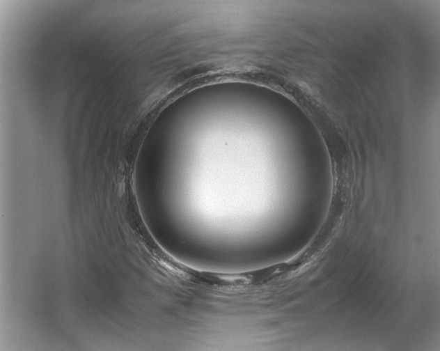 X0000064771257200602101240