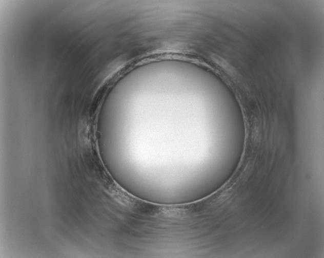 X0000064771258200602101240