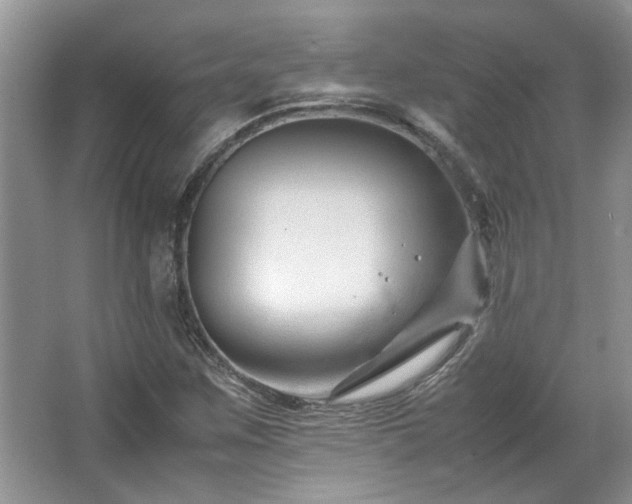 X0000064771259200602101240