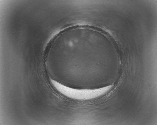 X0000064771263200602101240