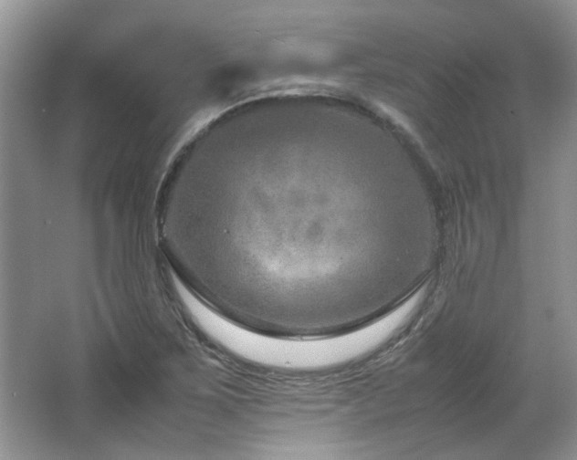 X0000064771267200602101240
