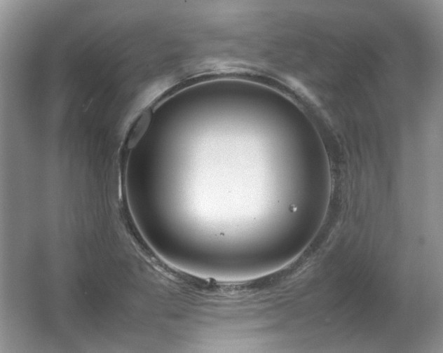 X0000064771269200602101240