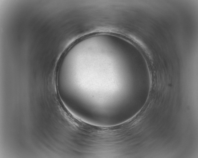 X0000064771272200602101240