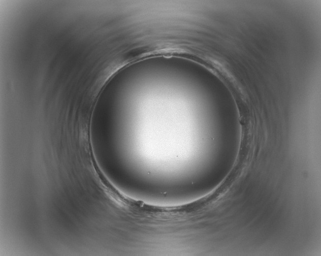 X0000064771281200602101239