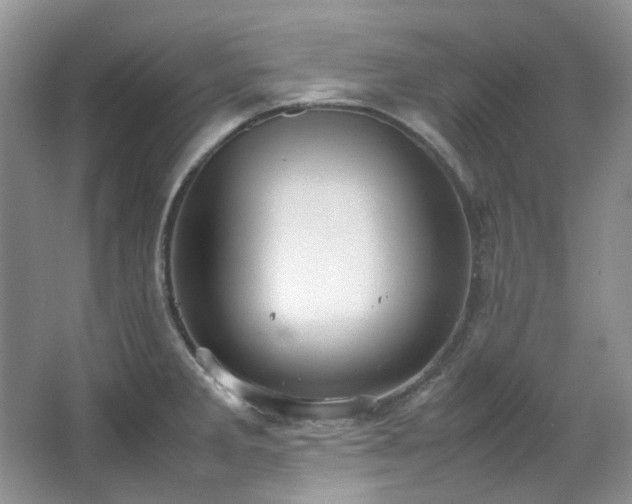 X0000064771285200602101239
