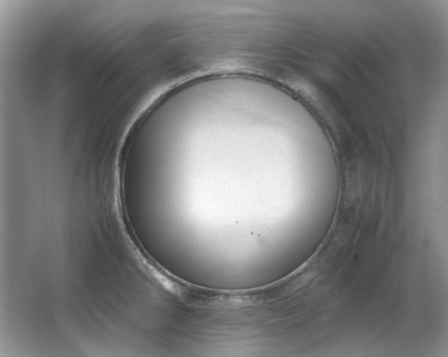 X0000064771286200602101239