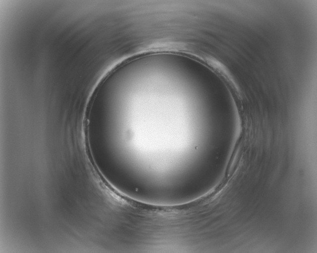 X0000064771288200602101239