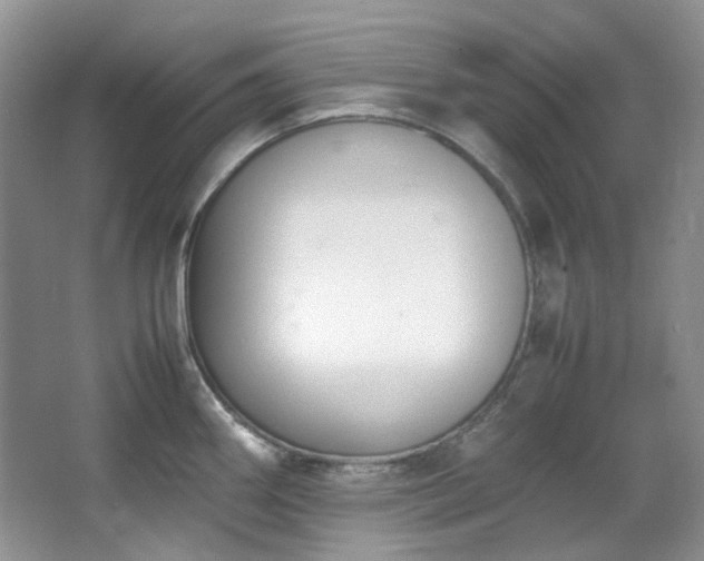 X0000064771290200602101239