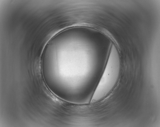 X0000064771292200602101239