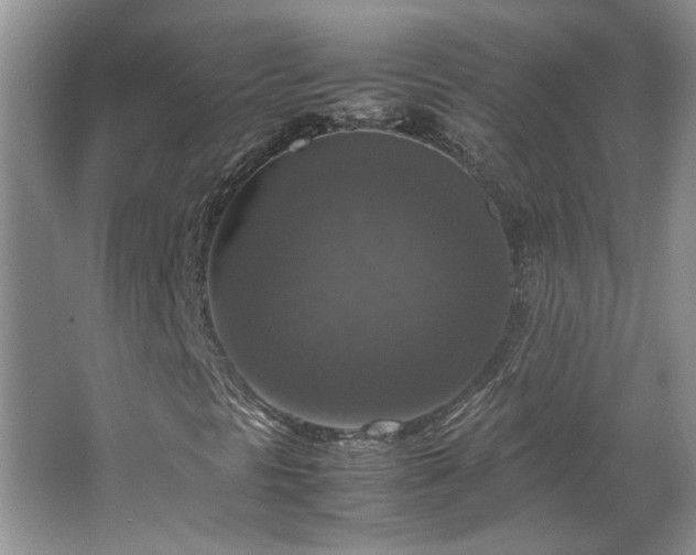 X0000064771297200602101238