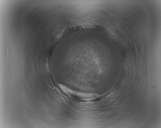 X0000064771298200602101238