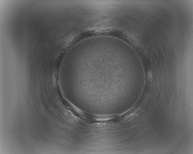 X0000064771300200602101238