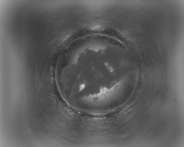 X0000064771301200602101238