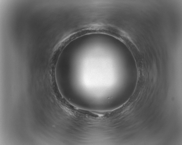 X0000064771304200602101238