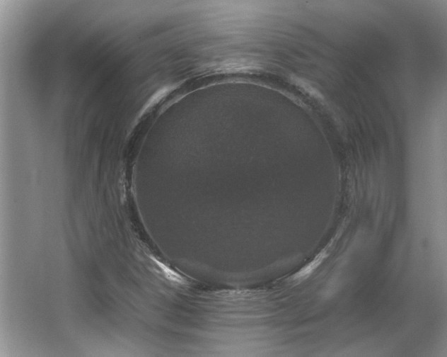 X0000064771306200602101238