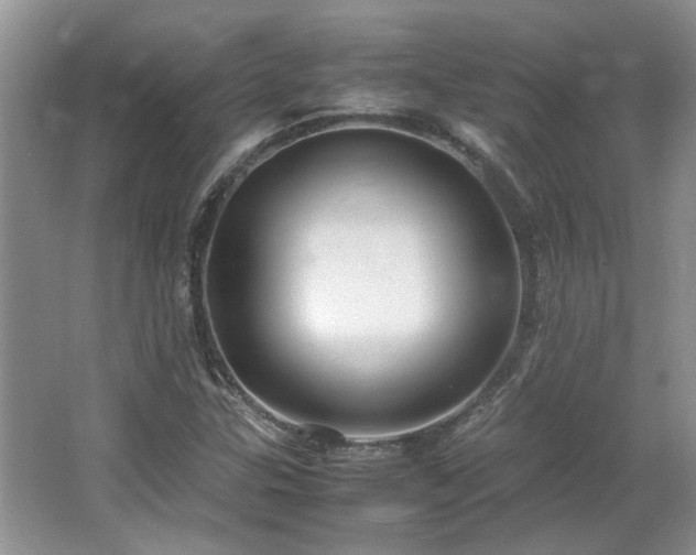 X0000064771307200602101238