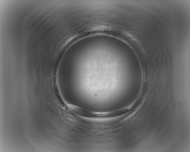 X0000064771313200602101239