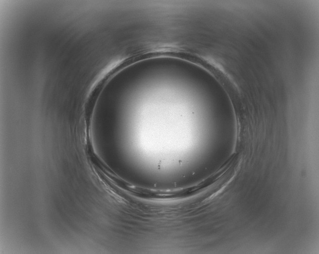 X0000064771317200602101239