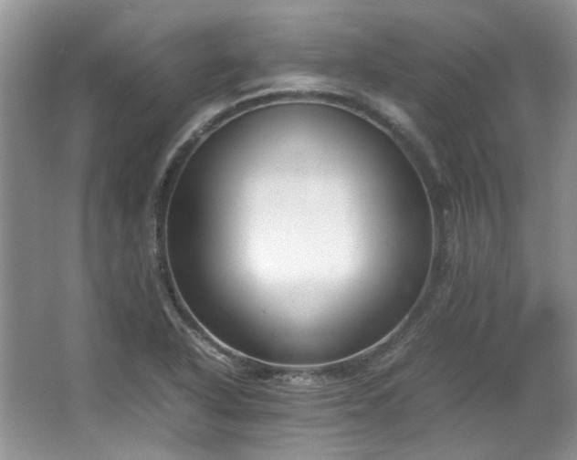 X0000064771318200602101239