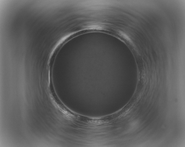 X0000064771323200602101239