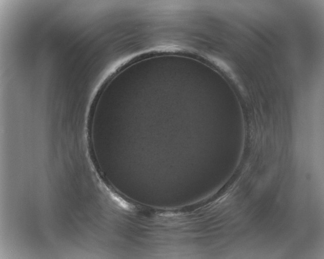 X0000064771327200602101239