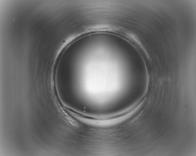 X0000064771328200602101239