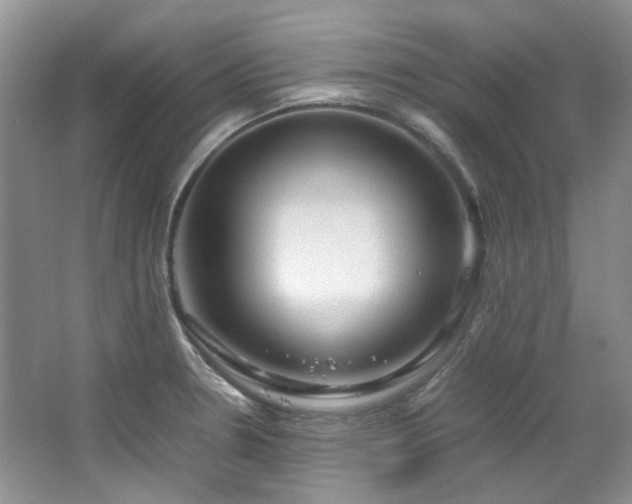 X0000064771330200602101239