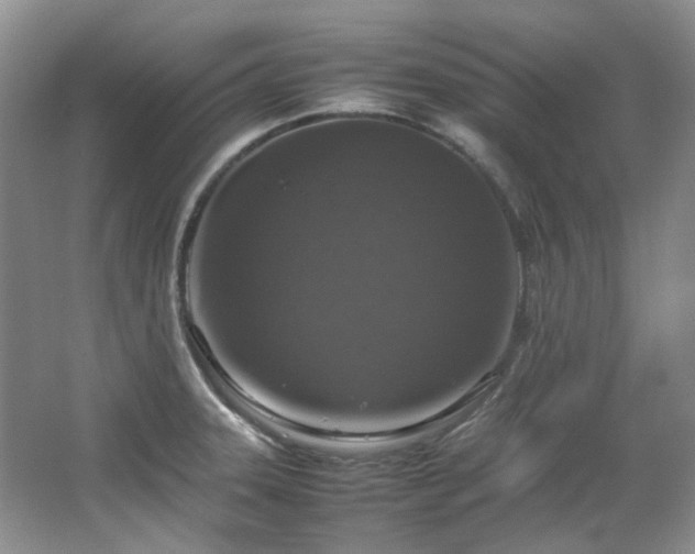 X0000064771331200602101239