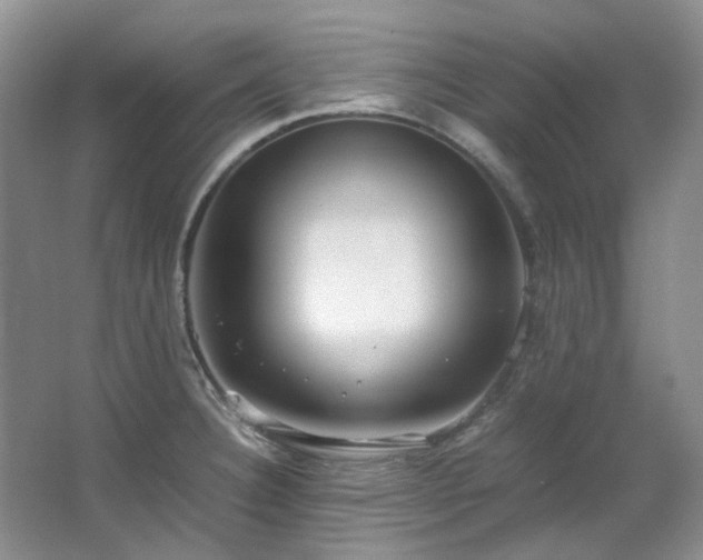 X0000064771332200602101239