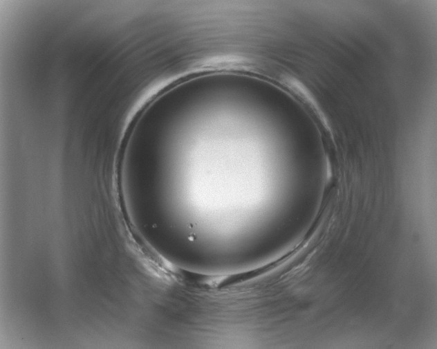 X0000064771336200602101239